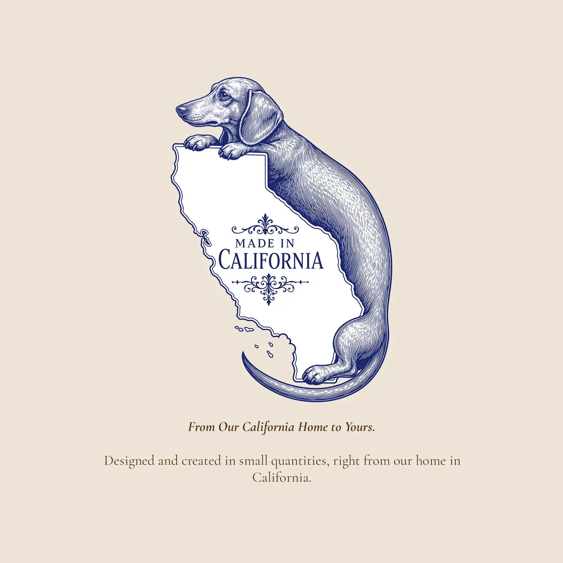 San Bernardino National Forest Hoodie 9