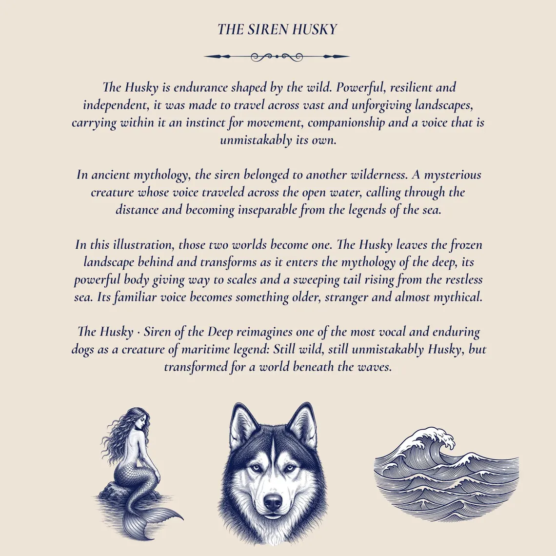 Siberian Husky Hoodie & Shorts 5